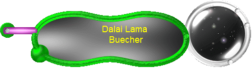 Dalai Lama 
Buecher