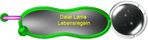 Dalai Lama 
Lebensregeln