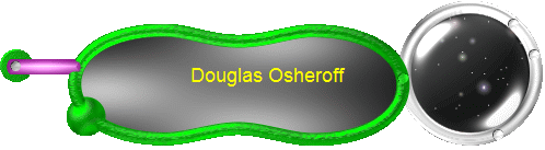 Douglas Osheroff  