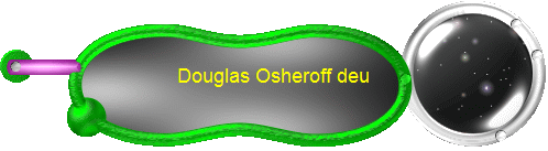 Douglas Osheroff deu