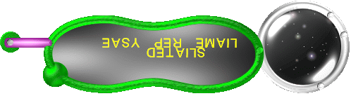 EASY per Email 
Details