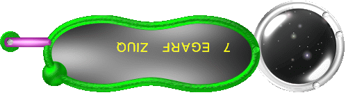 Quiz Frage 7