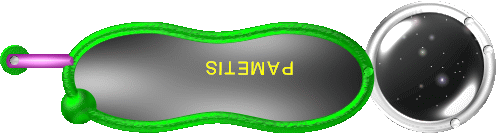 Sitemap