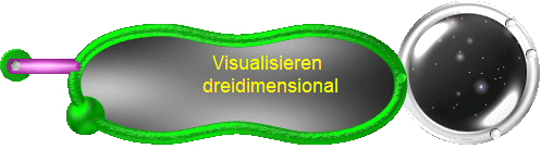 Visualisieren 
dreidimensional